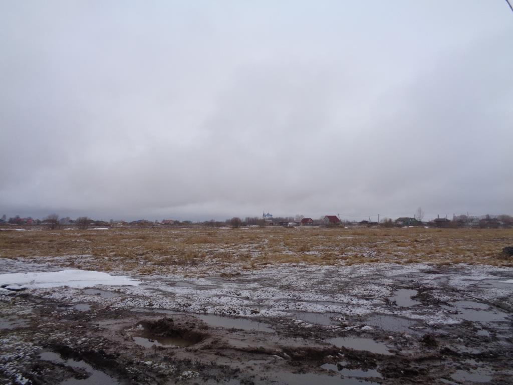 DSC00724