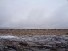 DSC00724